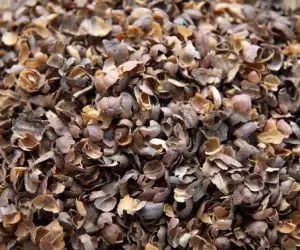 COFFEE BEAN HUSK FOR BI FUEL,/COFFEE BEAN WASTED SOPHIA WHATSAPP +84987364651