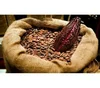 /product-detail/dried-cocoa-beans-from-viet-nam-50045675726.html
