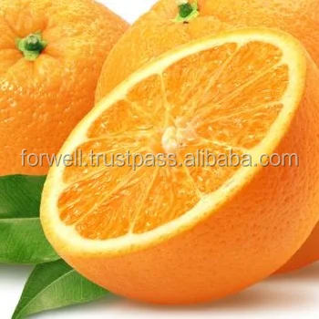 البرتقال الصغيرة اللذيذة عالية الجودة