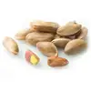 /product-detail/grade-aa-pistachio-turkish-pistachio-iranian-pistachio-and-thailand-origin-pistachio-62000399075.html