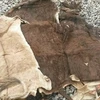 /product-detail/wet-salted-dry-salted-donkey-hides-and-cow-hides-cattle-hides-animal-skin-goats-horses-62000708709.html