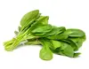 /product-detail/spinach-frozen-chopped-or-leaf-62005868479.html
