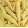 /product-detail/frozen-baby-corn-with-high-quality-ms-victoria-84-28-35119589-50036677196.html