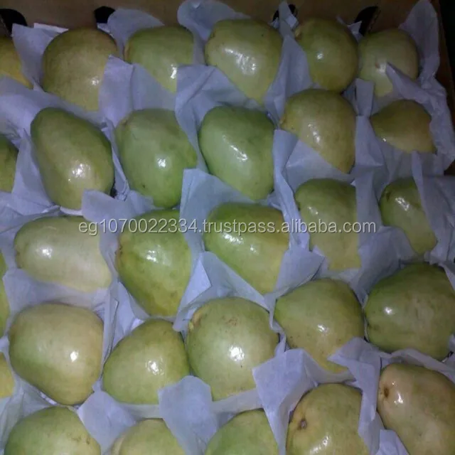 fresh guava fruit