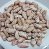 Pulses Kidney Beans, Red Lentil