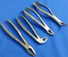 /product-detail/set-of-4-deep-gripping-atraumatic-dental-extracting-forceps-serrated-tips-50036433005.html