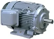 p1.jpg