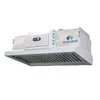All-in-one Exhaust Hood & Electrostatic Precipitator for Pollution-free Kitchen Emission