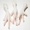 /product-detail/grade-aaa-chicken-feet-for-china-only-62000348520.html