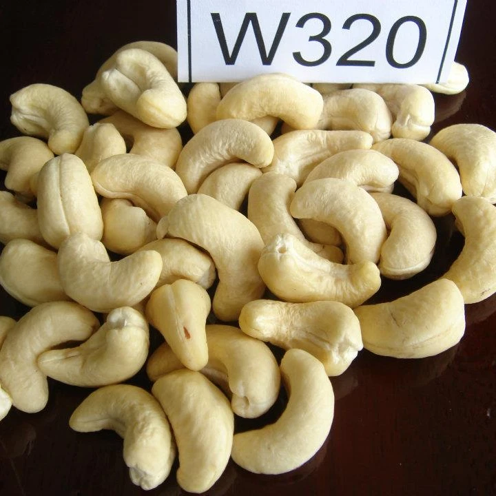 Wholesale Price Cashews WW 320 Vietnam 