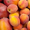 Canned Yellow Peach by Fresh Crop Ukraine Origin