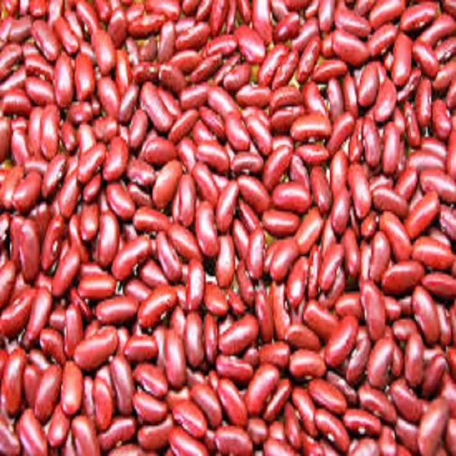 NEW CROP LIGHT RED KIDNEY BEANS PRICE