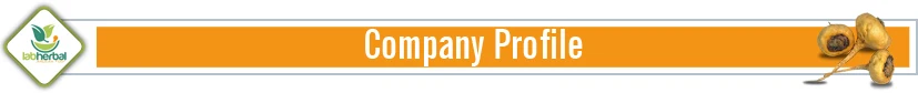 Company Profile 2.jpg