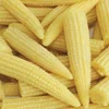 /product-detail/vietnam-frozen-baby-corn-whole-sweet-taste-50039251796.html