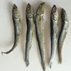 %100 Dried Anchovy Dried Salted Anchovy Dry Anchovy fish for sale