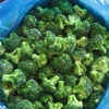 /product-detail/frozen-broccoli-62002275326.html