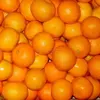 /product-detail/fresh-fruit-exporter-from-thailand-export-oranges-50036550923.html