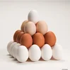 /product-detail/fresh-brown-and-white-shell-chicken-eggs-62002618918.html