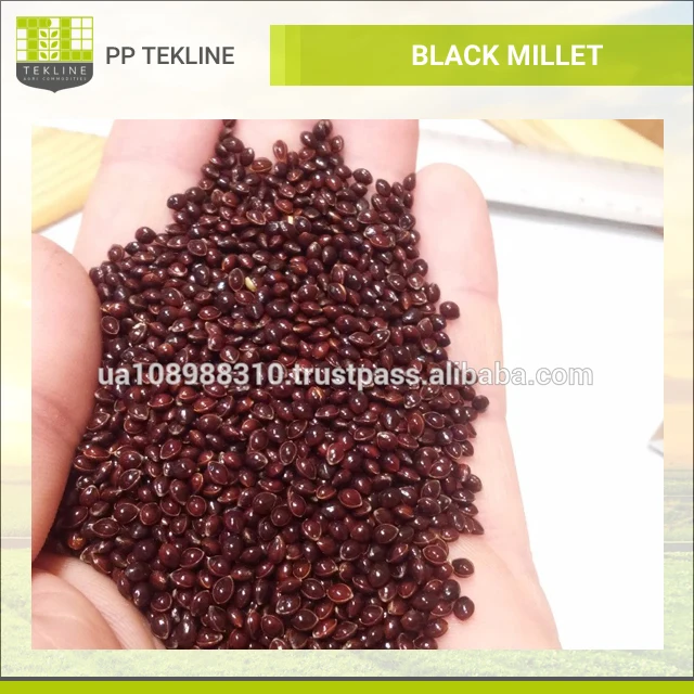 reputed exporter of natural black millet seed at selling price