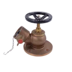 High quality DN65 flanged inlet 2.5" pressure reducing wet landing fire hydrant valve