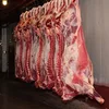 /product-detail/frozen-lamb-meat-lamb-meat-goat-meat-50032859585.html