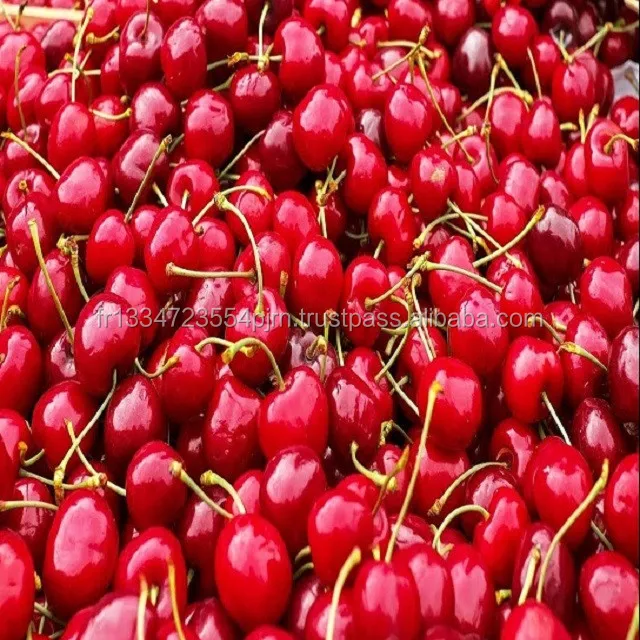 fresh cherries for sale