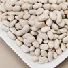 New Generation Supreme Royal flageolet beans, garbanzo beans/ Great Northern Beans AVAILABLE FOR SALE!