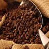 /product-detail/certified-authentic-civet-coffee-roasted-whole-beans-50045064618.html