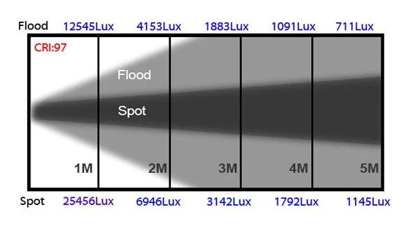focus200_8.jpg