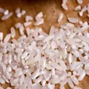 Long grain Indian IR 64 25% Broken White Rice