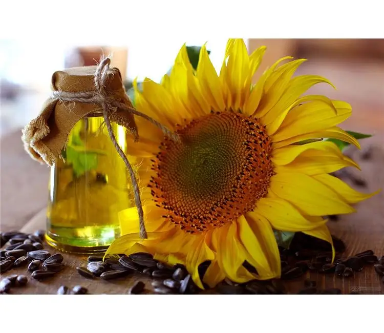 machinery  seeds  sunflower seeds  sunflower seed oil price  8