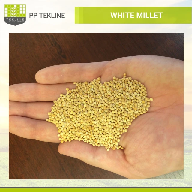 whole grain millet