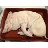 /product-detail/frozen-pork-fat-skin-off-pork-backfat-skinless-frozen-pig-fat-50046145639.html