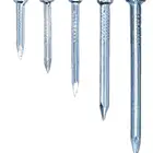 5kg 1kg zinc plated HDG roofing nail concrete nail