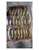 /product-detail/frozen-3-spot-crab-mud-crab-blue-swimming-crab-50035777161.html