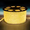 high quality Waterproof SMD5050 Tape AC220V Flexible Led Strip 60 led Outdoor Garden with EU plug