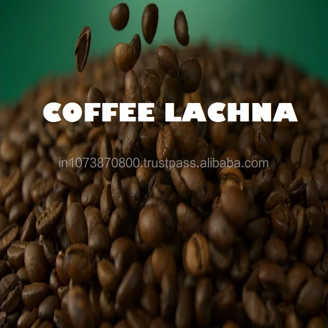 Unroasted Arabica 50 Weight(kg) best tasty coffee beans