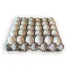 /product-detail/quality-chicken-eggs-fresh-for-sale-huevos-de-pollo-de-calidad-frescos-en-venta-62002686242.html