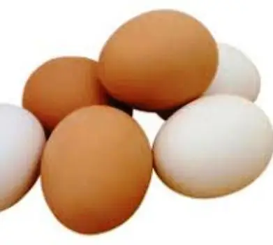 Fresh White and Brown Table Eggs /Fresh Chicken Table Eggs at farm price