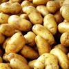 /product-detail/fresh-potato-fresh-holland-potatoes-for-sale-50046301007.html