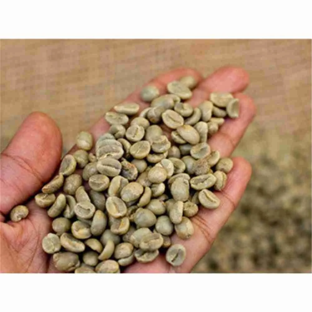 2019 preiswerteste import kaffee grüne bohnen madagaskar kaffeebohnen papua-neuguinea kaffee bohnen