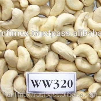 raw cashew nut price today