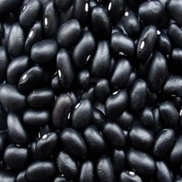 QUALITY Black kidney beans