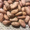 /product-detail/pure-natural-cocoa-organic-cocoa-beans-62007390205.html