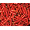 Red Chili Pepper Seeds