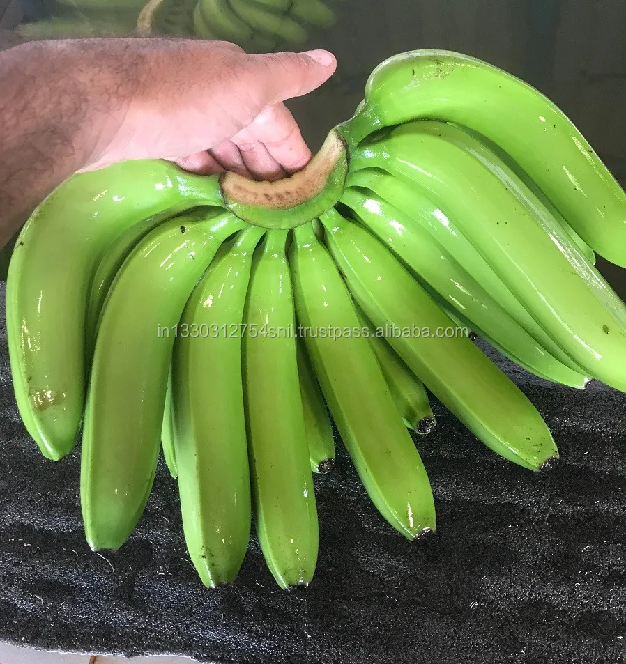 fresh green cavandish banana/high grade bananas