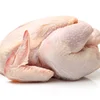 /product-detail/export-halal-frozen-whole-chicken-brazil-62002764861.html