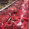 /product-detail/grade-aa-100-fresh-brazil-halal-meat-for-sale-50046271995.html