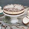 Dessert Brazilian Coconut and Chocolate Mousse cake