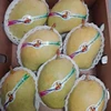 /product-detail/alphonso-mango-sri-lankan-tjc-variety--62006461525.html
